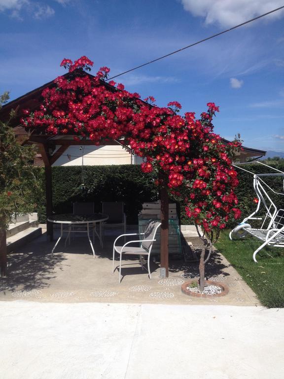 La Quercia Bed & Breakfast Cosenza Exterior photo
